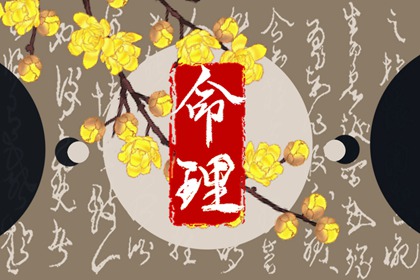 八字免费测算命盘 汉程紫微排盘 紫微富贵免费算命 排命盘 胎元命宫八字排盘 算命命盘